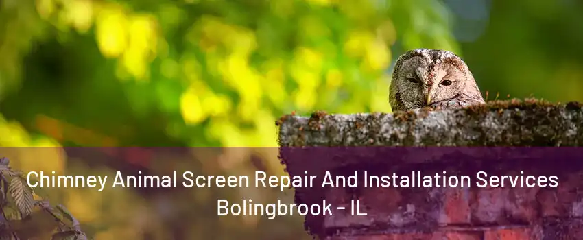 Chimney Animal Screen Repair And Installation Services Bolingbrook - IL