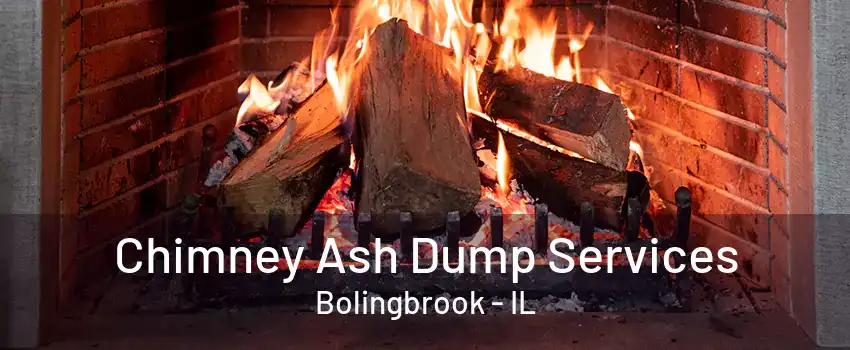 Chimney Ash Dump Services Bolingbrook - IL