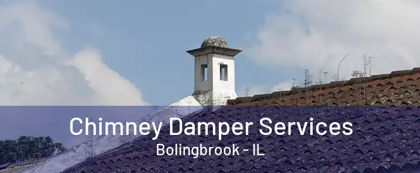 Chimney Damper Services Bolingbrook - IL