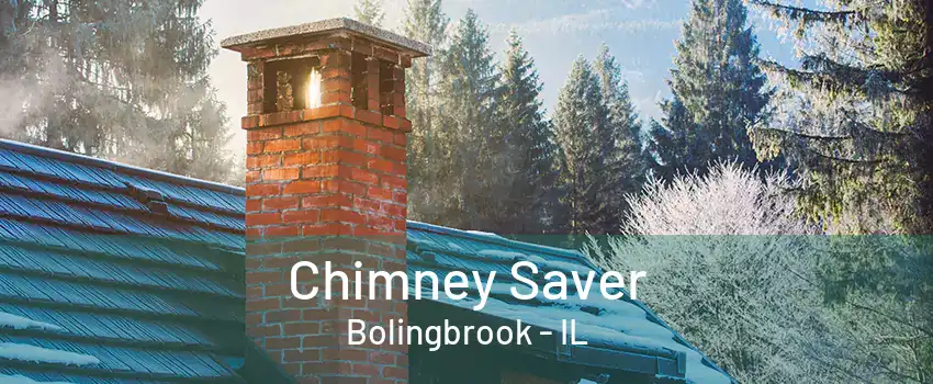 Chimney Saver Bolingbrook - IL