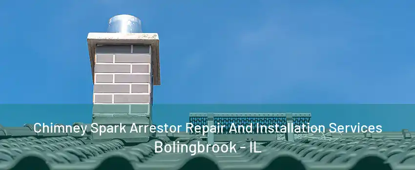 Chimney Spark Arrestor Repair And Installation Services Bolingbrook - IL