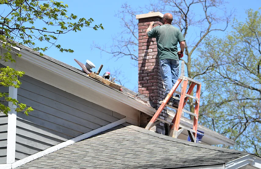 Chimney & Fireplace Inspections Services in Bolingbrook