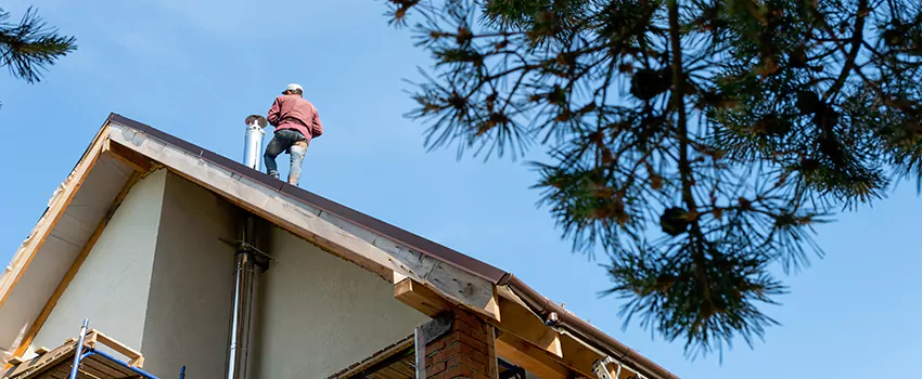 Birds Removal Contractors from Chimney in Bolingbrook, IL