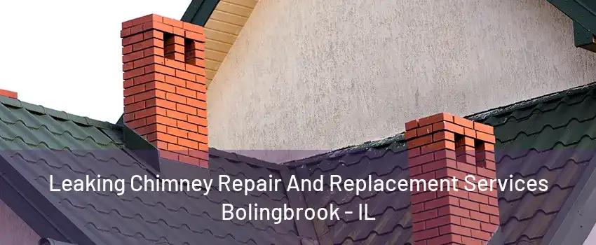 Leaking Chimney Repair And Replacement Services Bolingbrook - IL