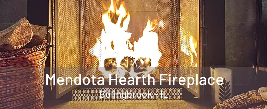 Mendota Hearth Fireplace Bolingbrook - IL