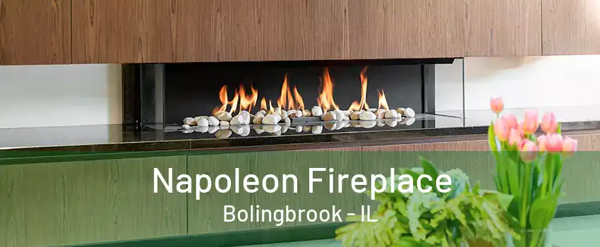 Napoleon Fireplace Bolingbrook - IL